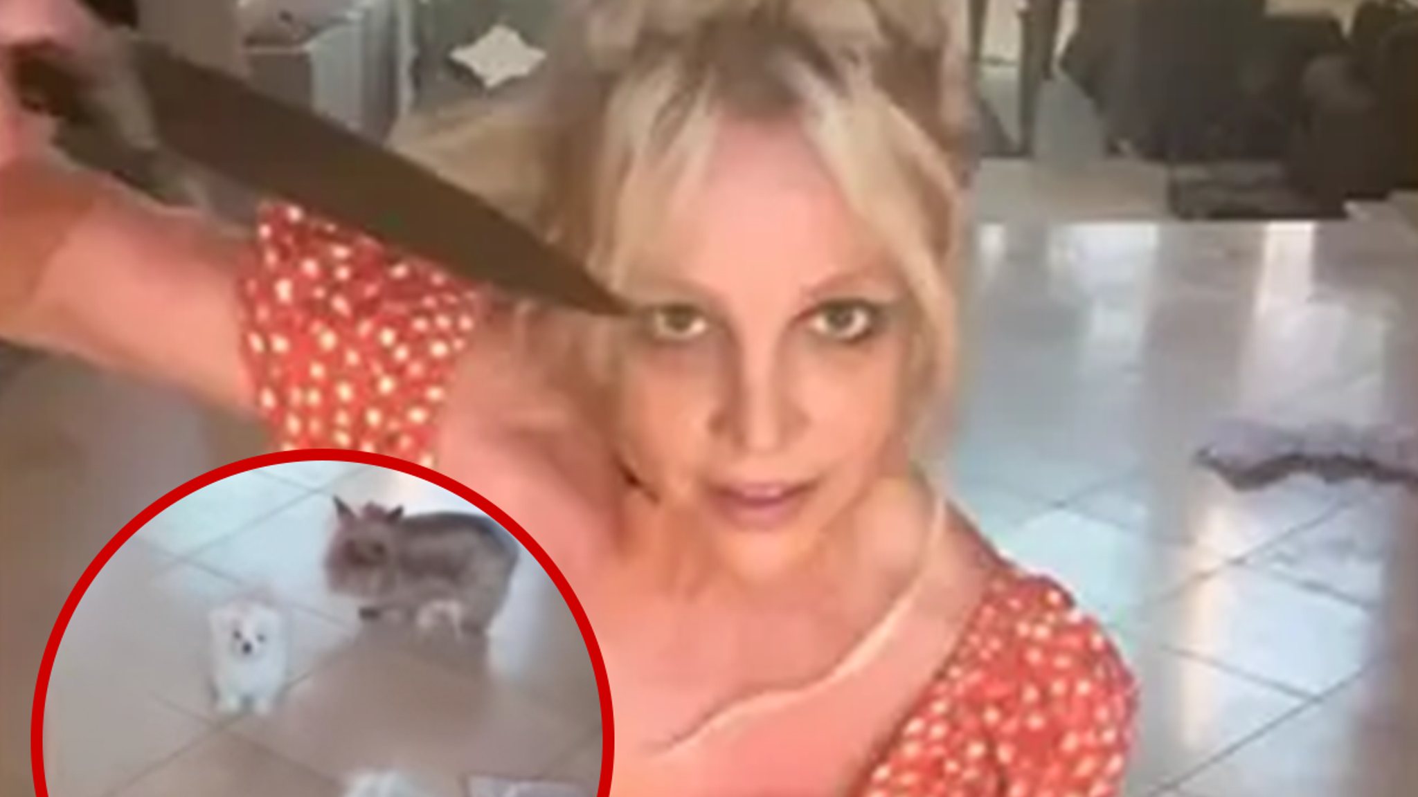 Les fans de Britney Spears veulent que les chiens soient enlevés après une vidéo dangereuse avec un couteau