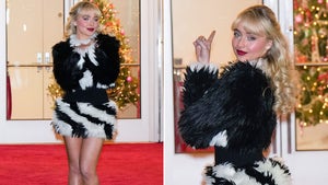 Sabrina Carpenter Posing In A Black And White Fur Dress