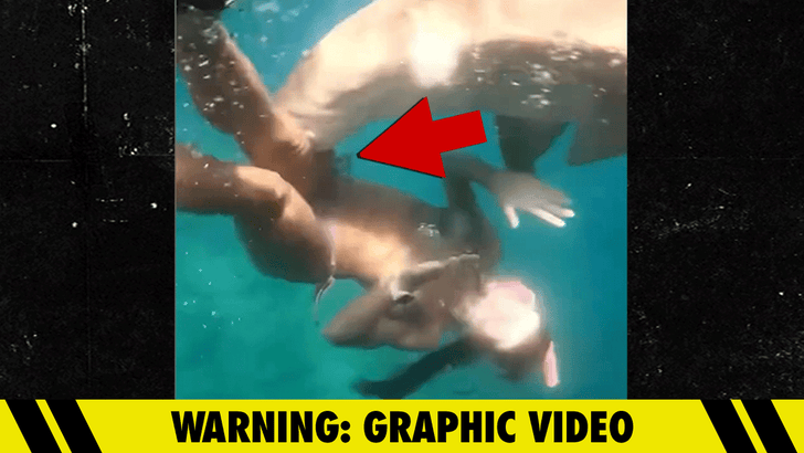 011226_shark_bites_lady_kal_v2