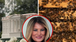 042426  beehive whitehouse praimry