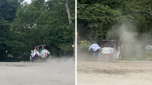 061826_central_park_carriage_PRIMARY