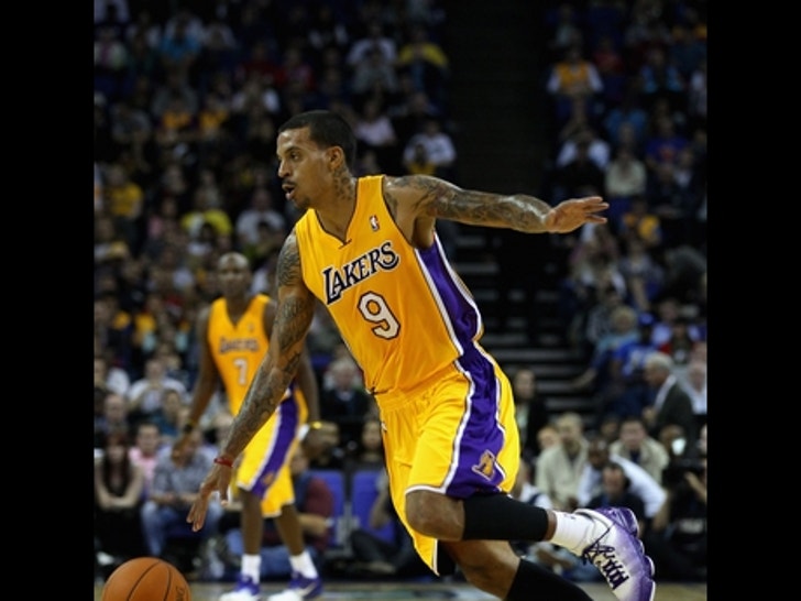 Matt Barnes on the Court