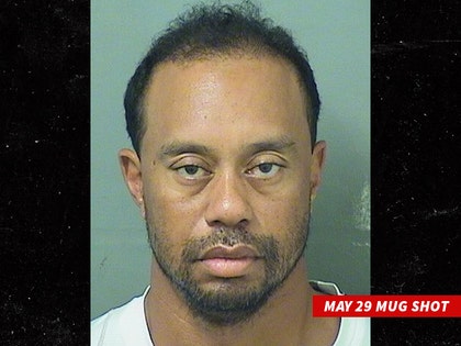 0703-tiger-woods-mug-shot-01