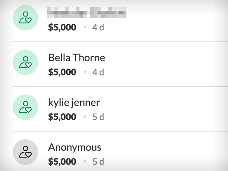 0321-kylie-jenner-bella-thorne-gofundme-02