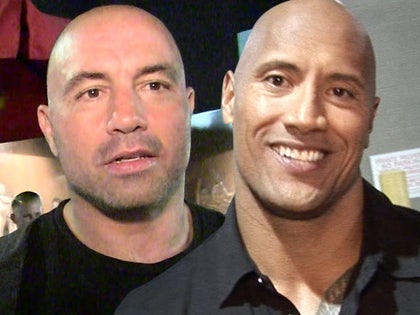 joe rogan the rock