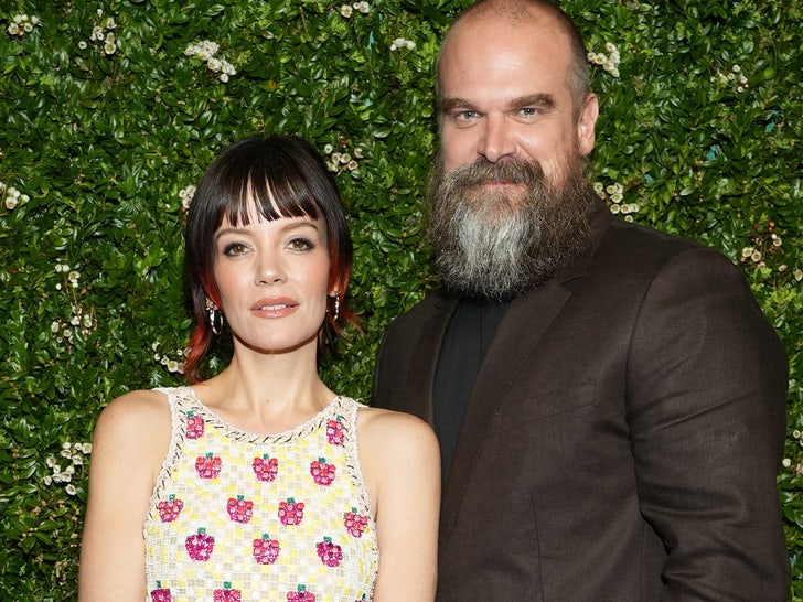 Lily Allen and David Harbour Together