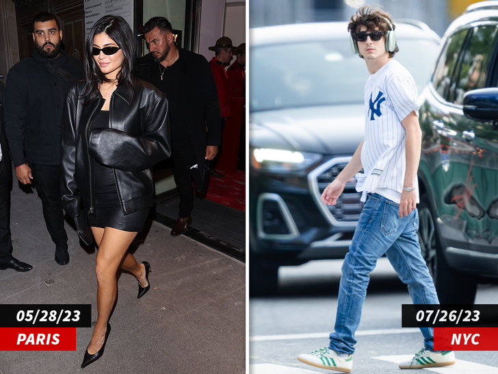 Timothée Chalamet and Kylie Jenner call it quits, did he use her for  publicity?