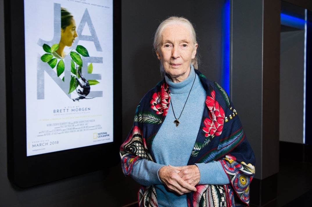 Remembering Jane Goodall 2