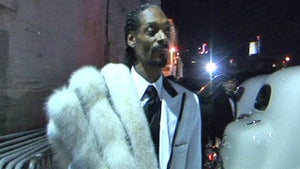 Snoop Dogg -- Ain't No Party Like a 1920s Party