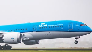 Dog Found Dead on Air France-KLM Flight After Being Stored in Cargo Hold