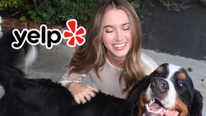 madeleine white and her dog dunkin 2