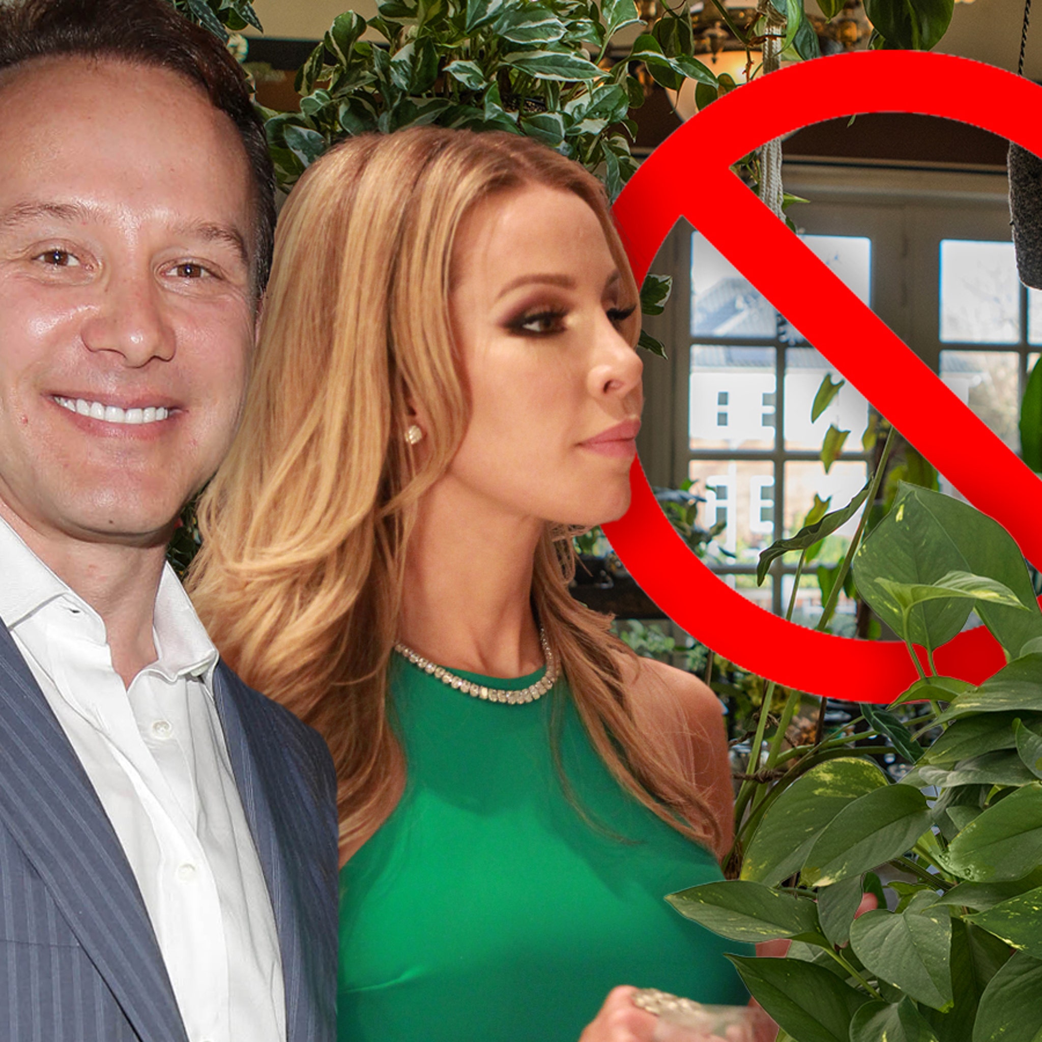 Lenny Hochstein Sues Over Plants Removed From Home While Lisa Moved photo
