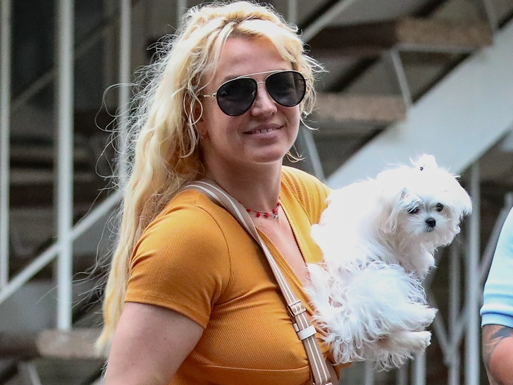 Britney Spears spotted in West Hollywood