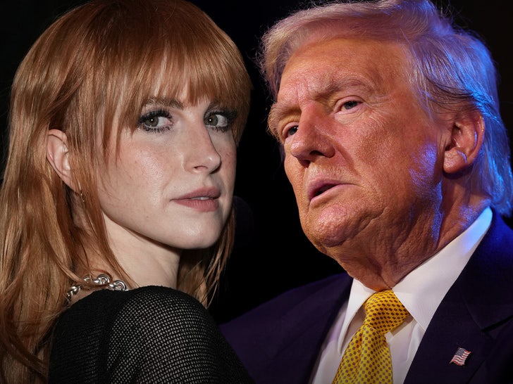 Hayley Williams Tells People to Vote If They Don't Want Trump 'Dictatorship'