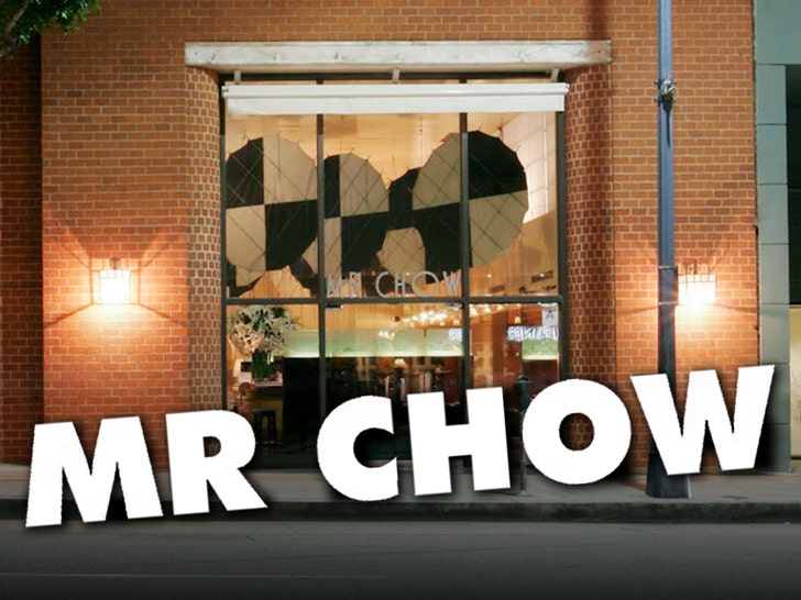 mr chow main 1