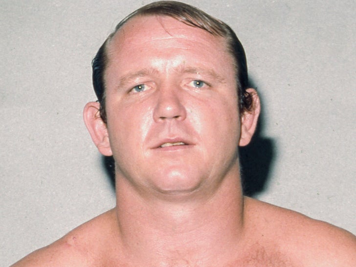 Remembering Dory Funk Jr.