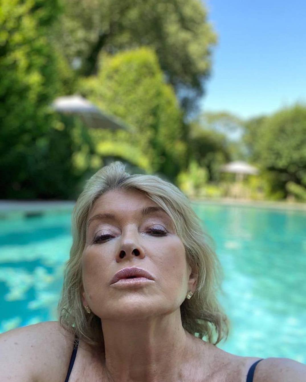Martha Stewart Hot Shots 8