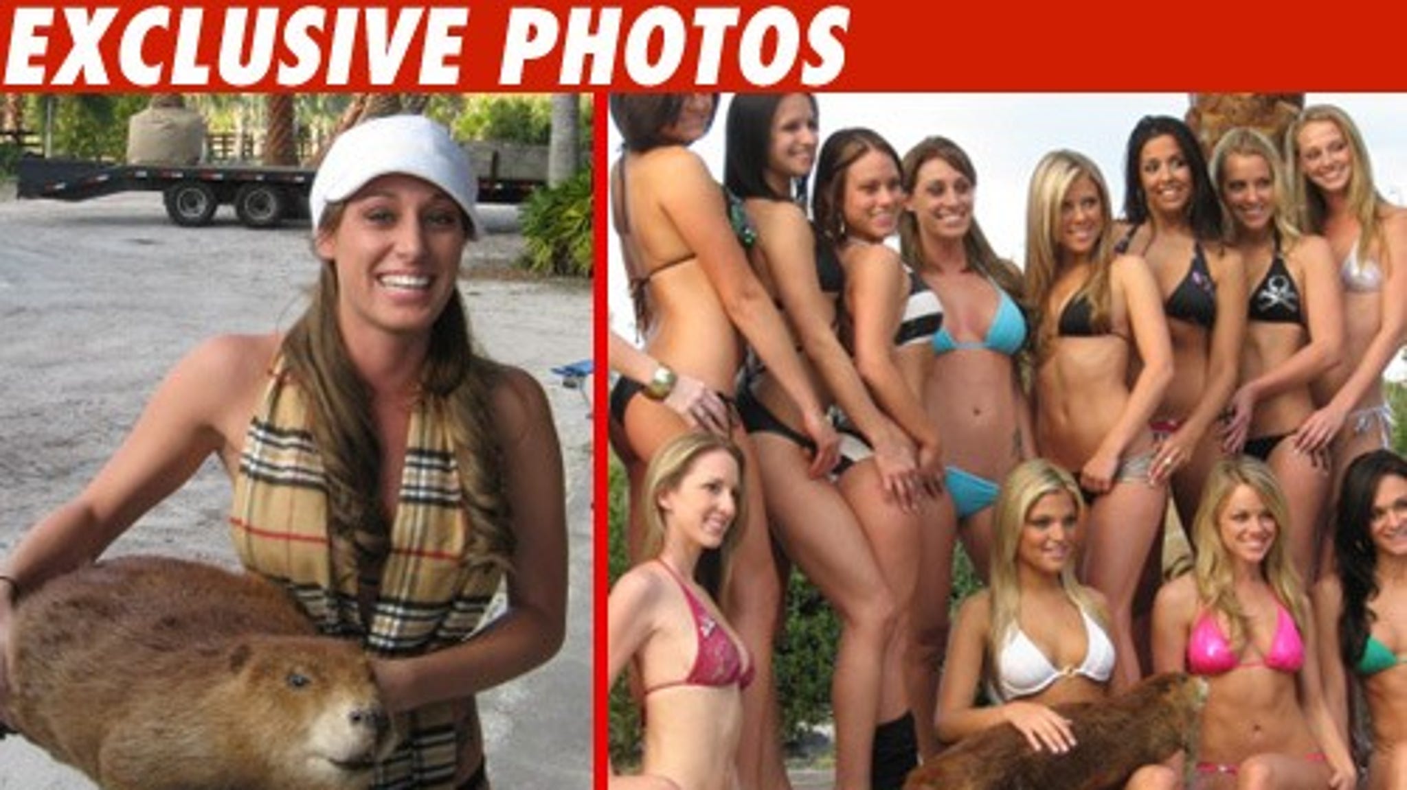 Beaver shots photos