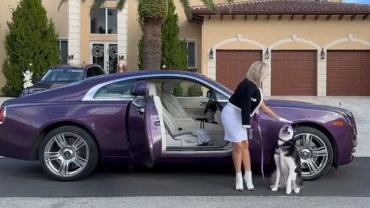 101323_purple_rolls_royce_wife_dog_kal