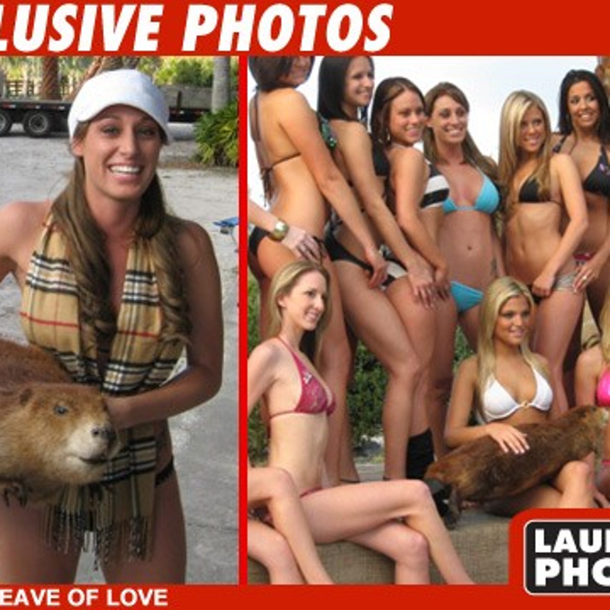 Beaver shots photos