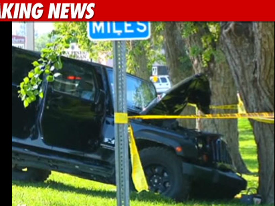 Randy 'Macho Man' Savage dies in Florida car crash