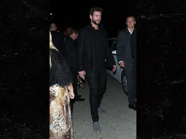 0208-liam-hemsworth-mega-01