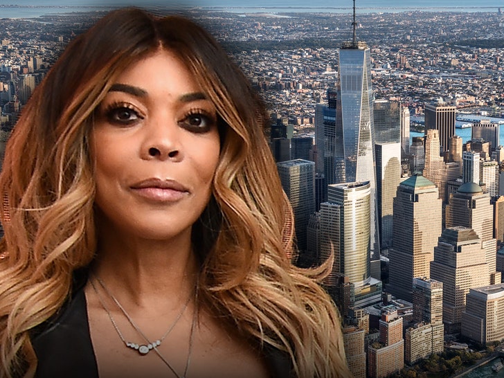 A controvérsia da tutela de Wendy Williams estimula o senador de Nova York a pressionar por uma nova lei