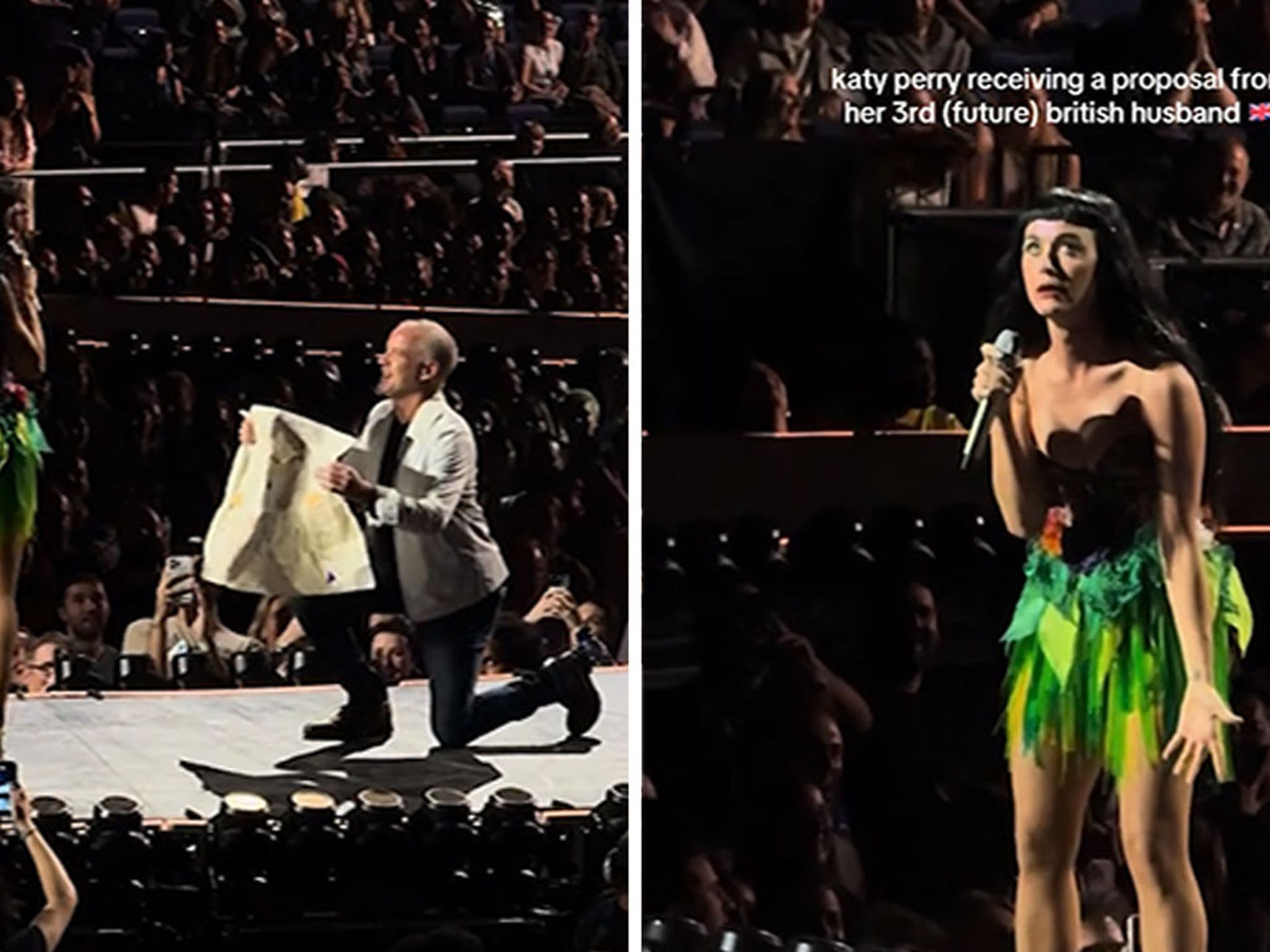 Fan Proposes to Katy Perry On Stage at UK Concert