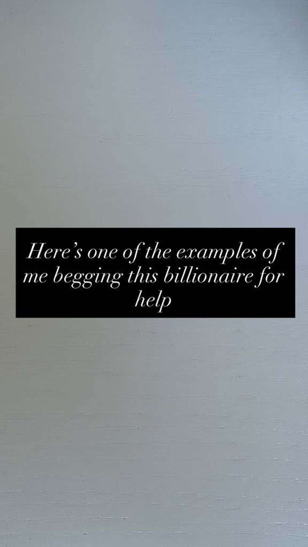 Rebel Wilson Trashes Billionaires On Instagram Stories 2