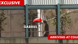 Gabriel Aubry Back in Dependency Court