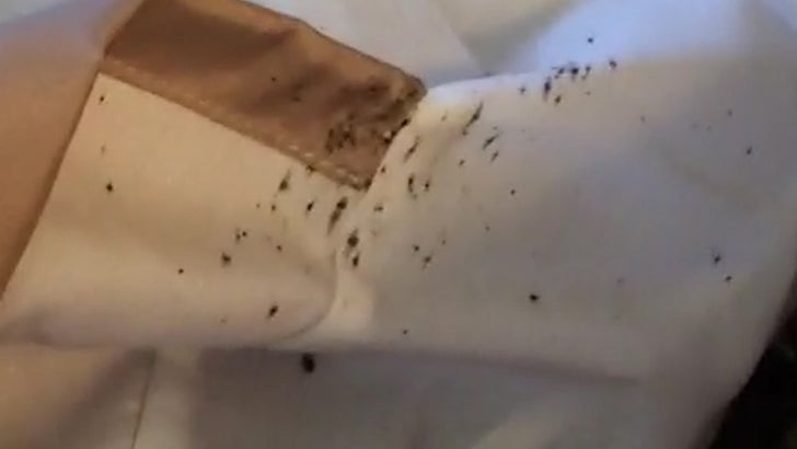 tuscany suites and casino bed bugs