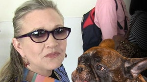 Carrie Fisher's Dog Gary Gets A New Forever, But Not With Billie