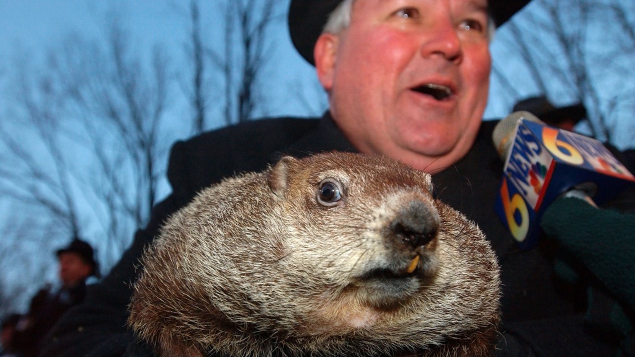 Punxsutawney Phil Through The Years