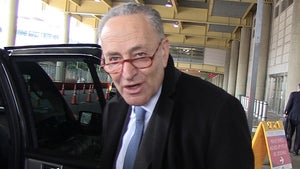 Sen. Chuck Schumer Says Dealing with Prez Trump is Like Dealing with Jell-O