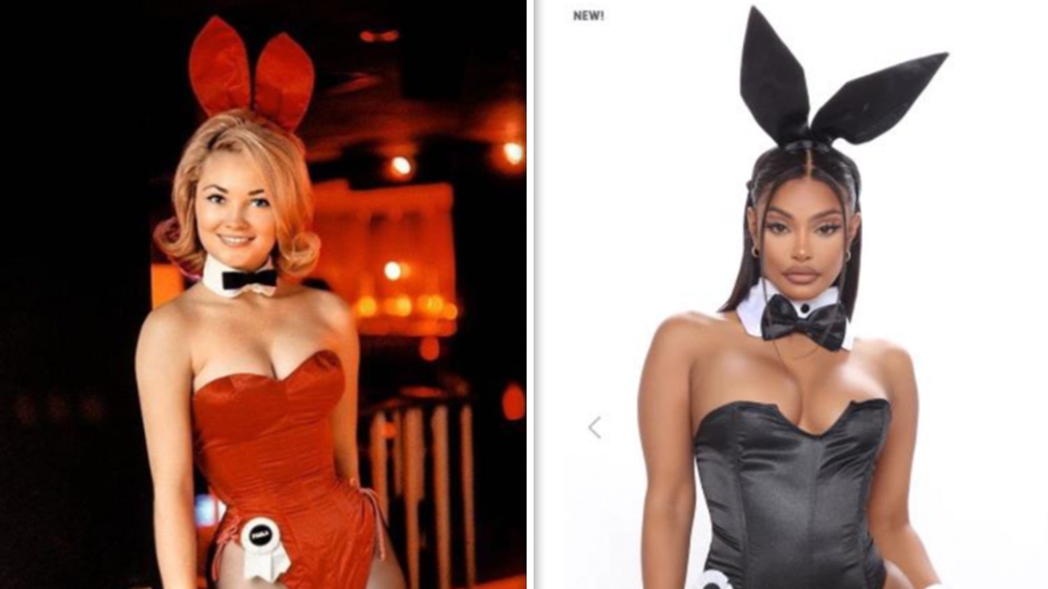 Sues Fashion Over Eerily Similar Bunny