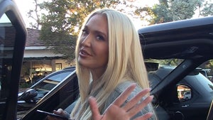 Erika Jayne Doesn't Want to Date Another Lawyer, Will Never Remarry
