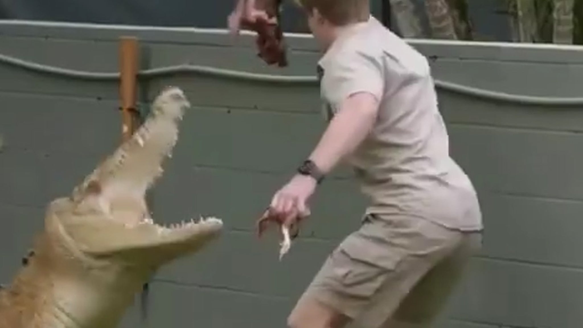 Steve Irwin's Son Almost Attacked by Crocodile in Enclosure