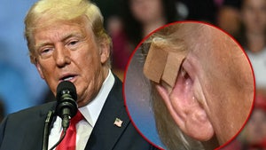 donald trump bandage main