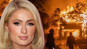 paris hilton donates to fire los angeles main getty