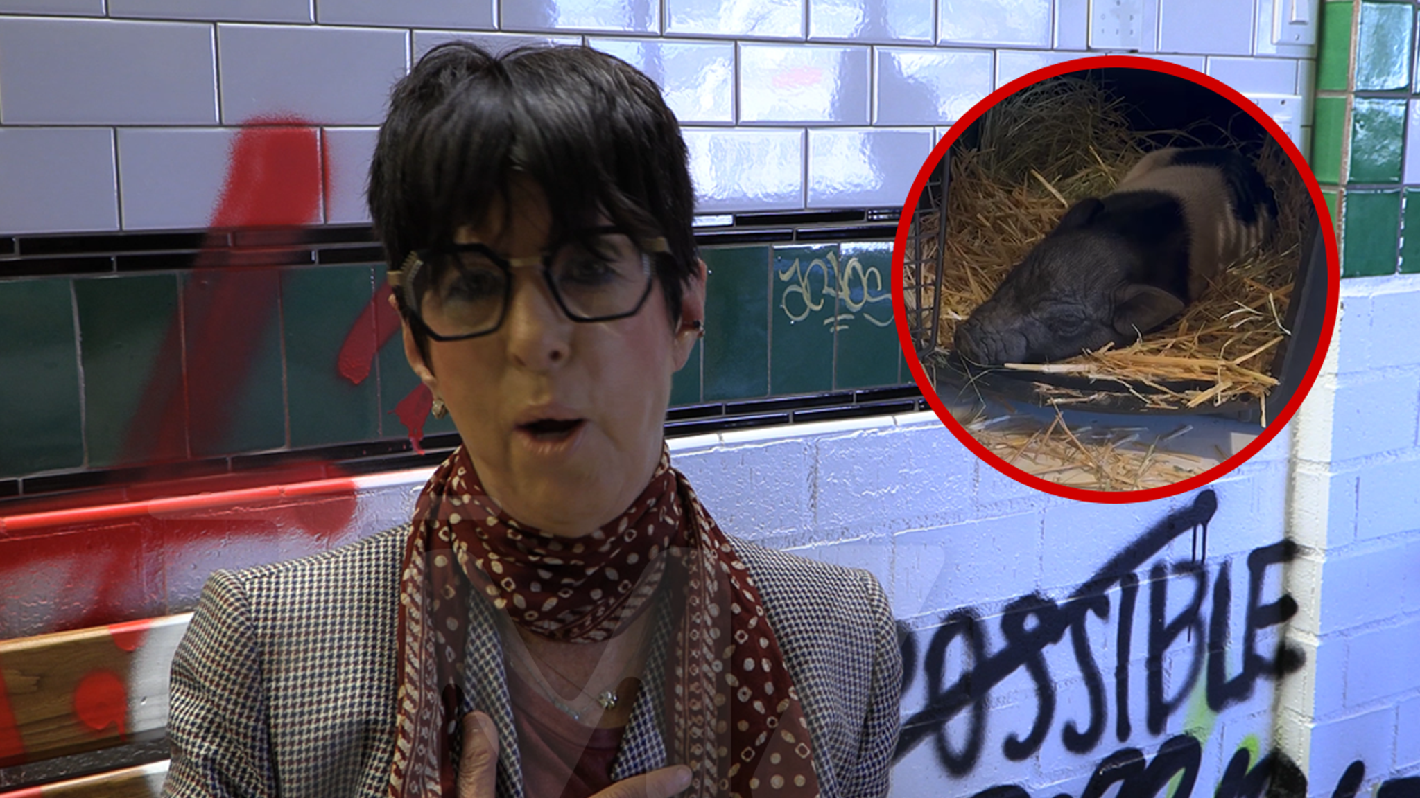 Diane Warren Rescues Viral West Hollywood Pig Wilbur