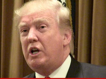 0715-donald-trump-tmz-01