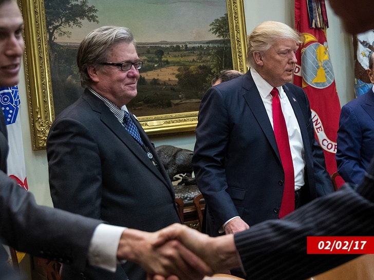 steve bannon donald trump getty