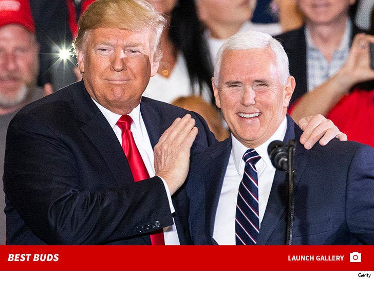 Mike Pence and Trump -- Best Buds