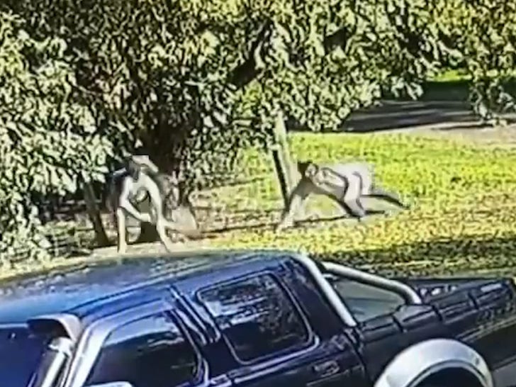 Australian Man Fights Kangaroo After Animal Chases and Knocks Him Down