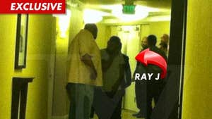 Ray J Rushed to Whitney Houston's Hotel, Turned Away by Cops