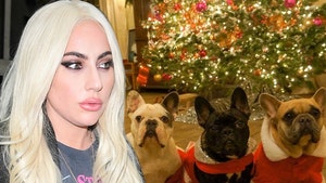 Lady Gaga Sued by Woman Charged in Dog Theft for $500,000 Reward