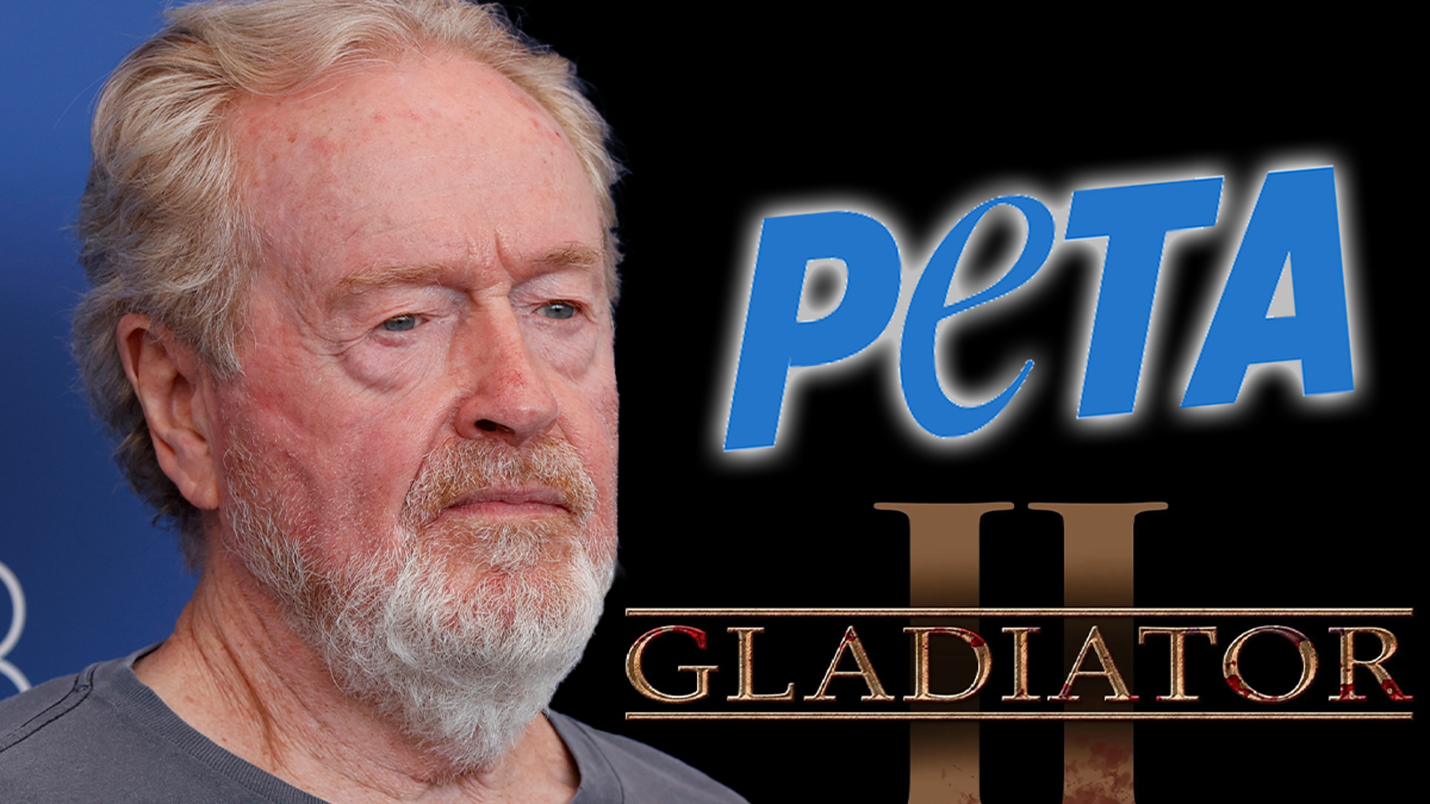 PETA Targets ‘Gladiator 2’ Solid and Director Over Alleged Animal Use on Set