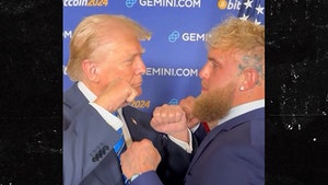 Jake Paul, Donald Trump