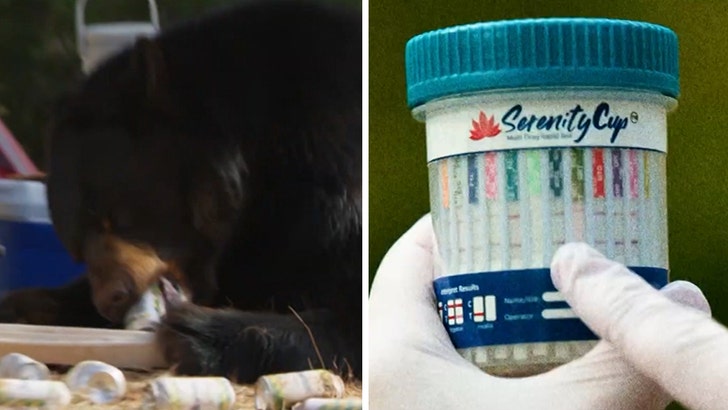 animals-on-drugs-kal-07-09-2025