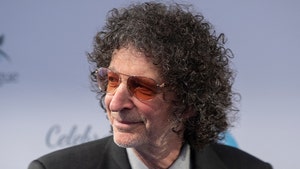 howard stern getty 1